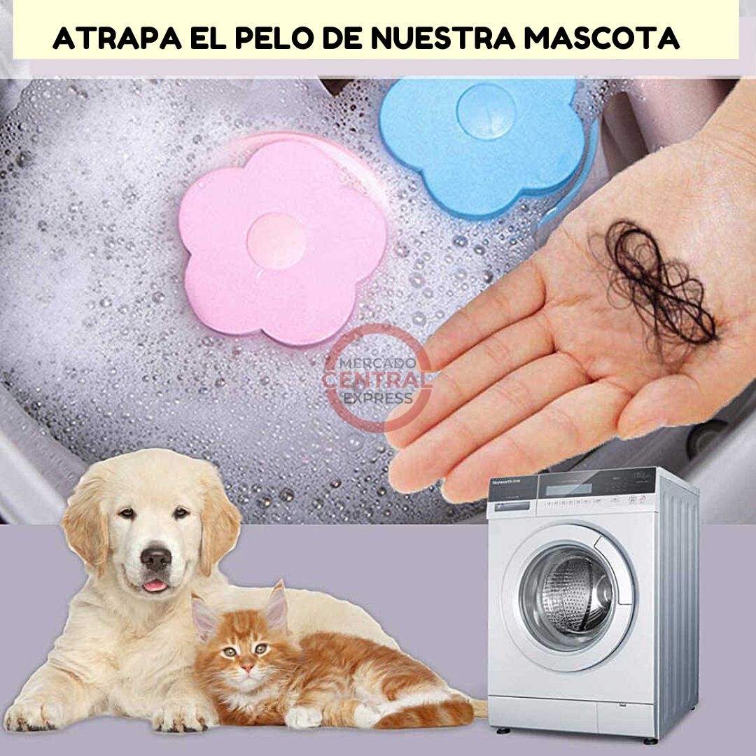 Pack Lavado Perfecto